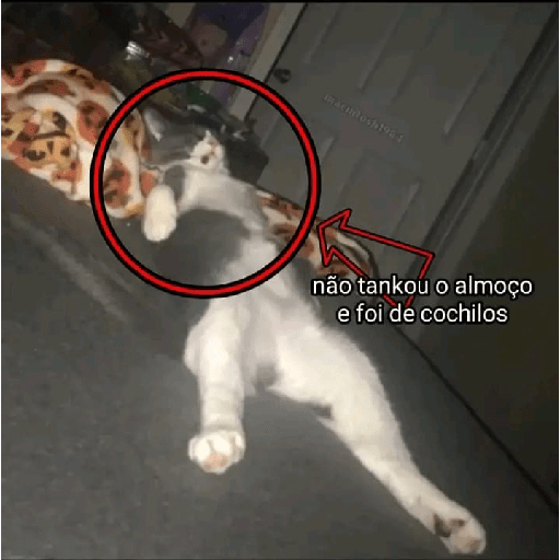 Para o meu amigo da lancha  7