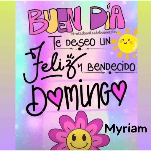 Domingo 12