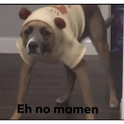 Vivan los novios 13