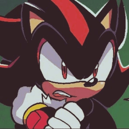 Shadow the hedgehog 10