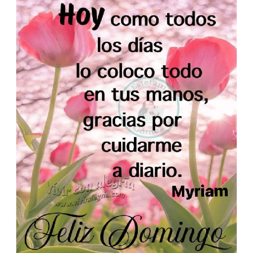 Domingo 13