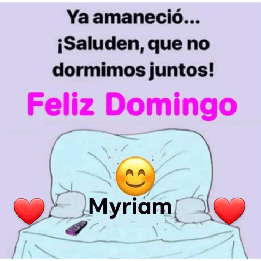 Domingo 17