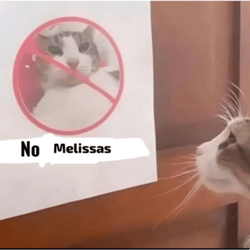 Papas Gatito 20