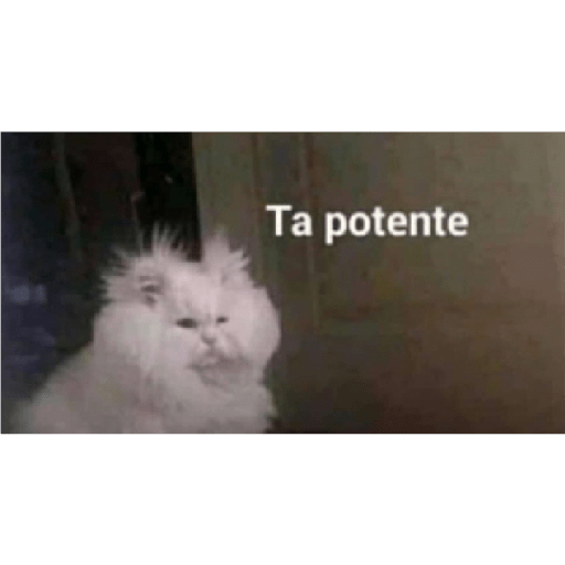Memes que rove en intsgam 11