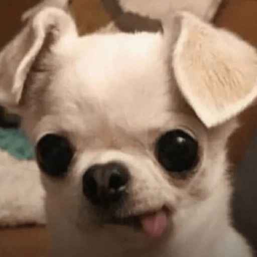 Aaaaahhhhh 6