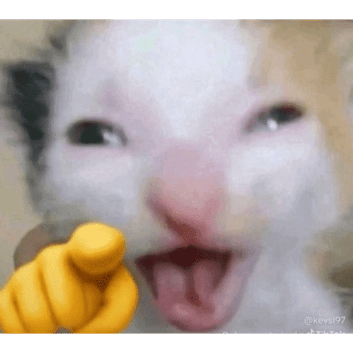 Xdd 6