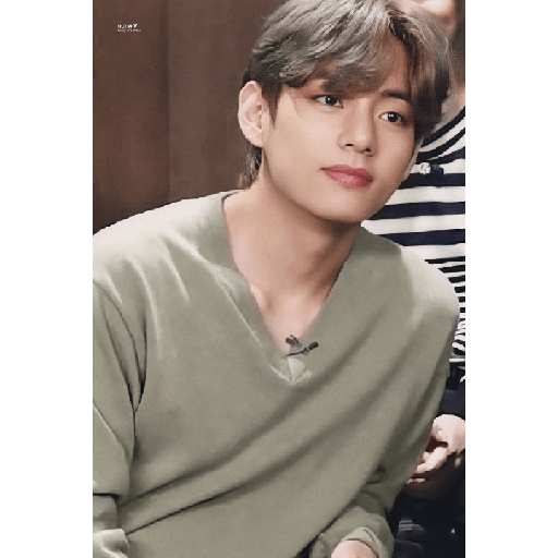 BTS 8