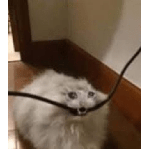 Aaaaahhhhh 12