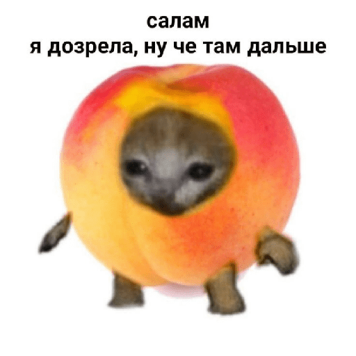Aaaaahhhhh 10