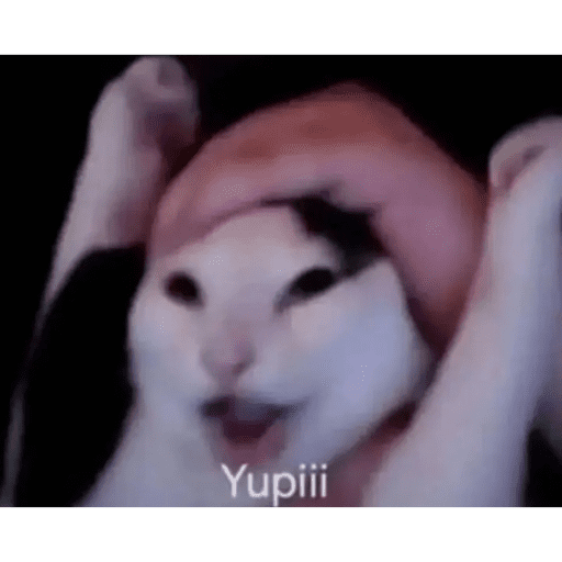 Xdd 8
