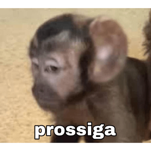 Gatinho fofoqueiro 12