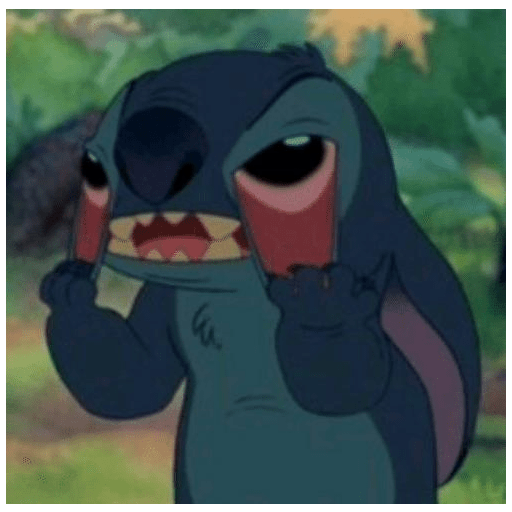 Stitch 2
