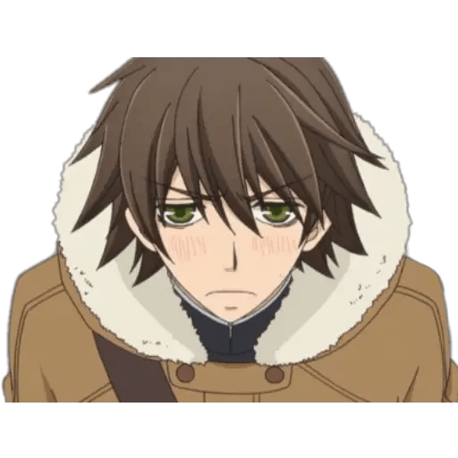 Junjuo Romantica 16