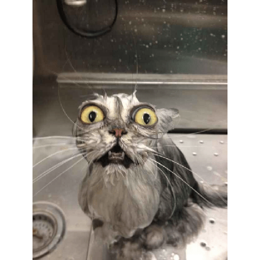 Aaaaahhhhh 9
