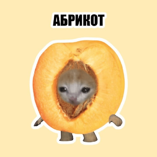 Aaaaahhhhh 24