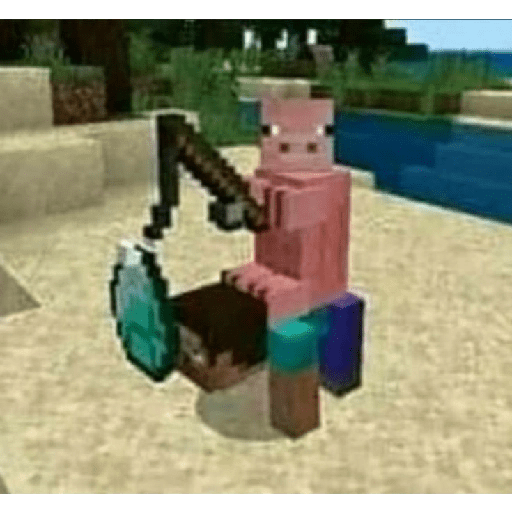 Minecraft  11