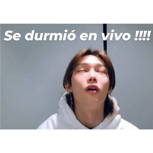 Stray kids stickers 7 6