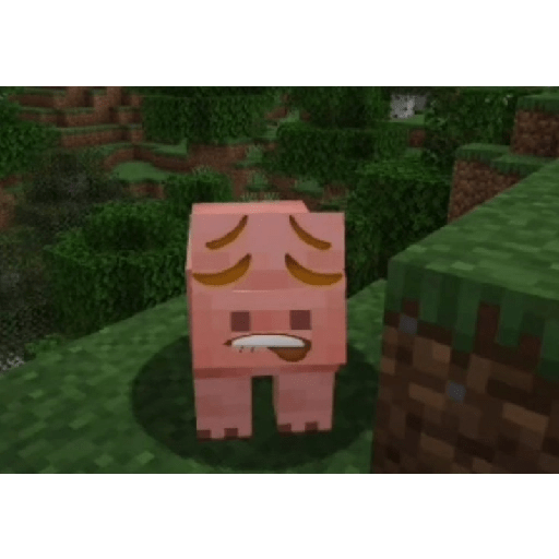 Minecraft  7