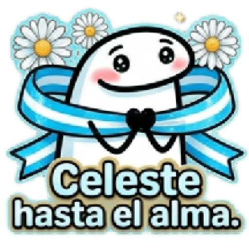 Día de la Bandera Argentina 🇦🇷 11