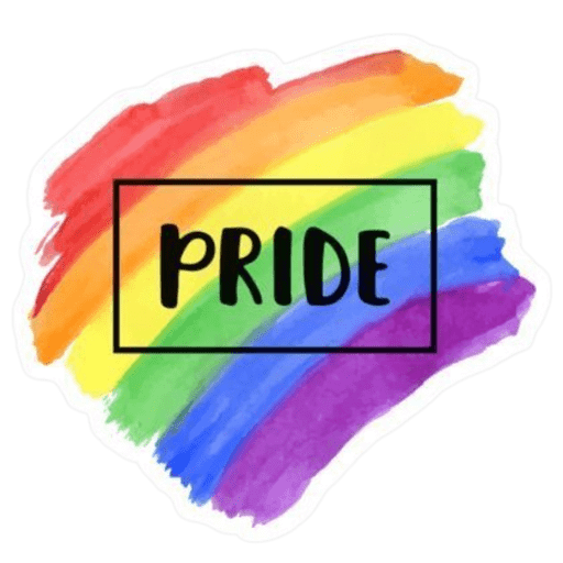 Pride LGTBIQ+ 🏳️‍🌈 12