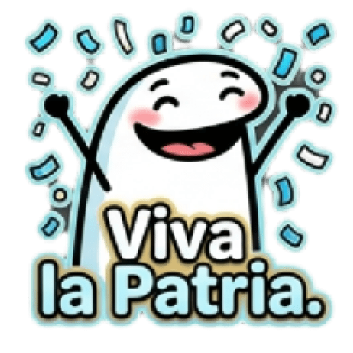 Día de la Bandera Argentina 🇦🇷 14