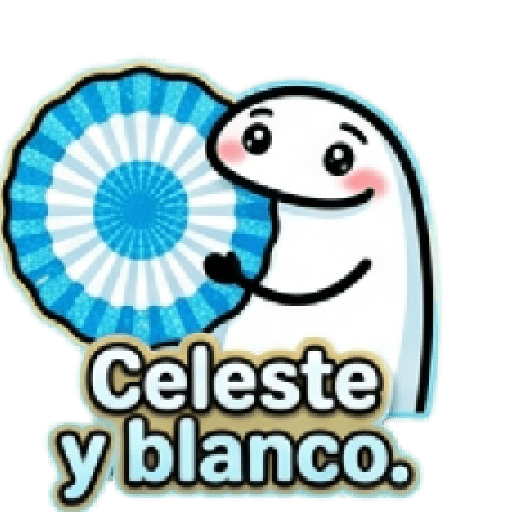 Día de la Bandera Argentina 🇦🇷 7