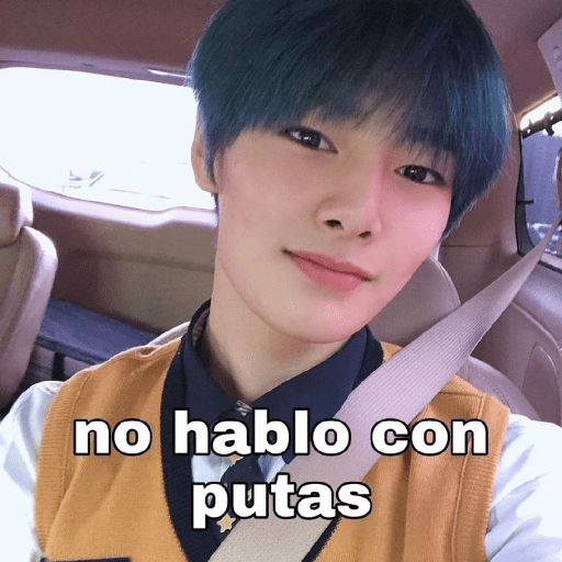 Stray kids stickers 7 5