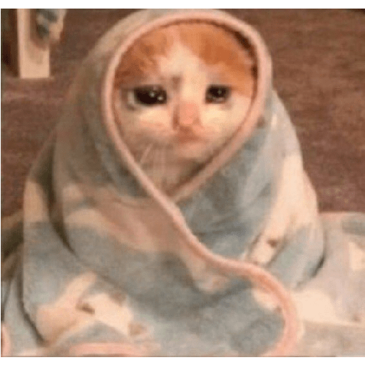 Gatti tristi e cute 20