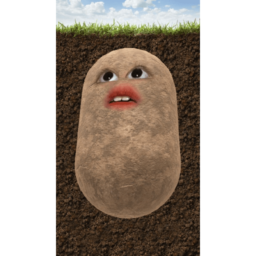 Potato 3