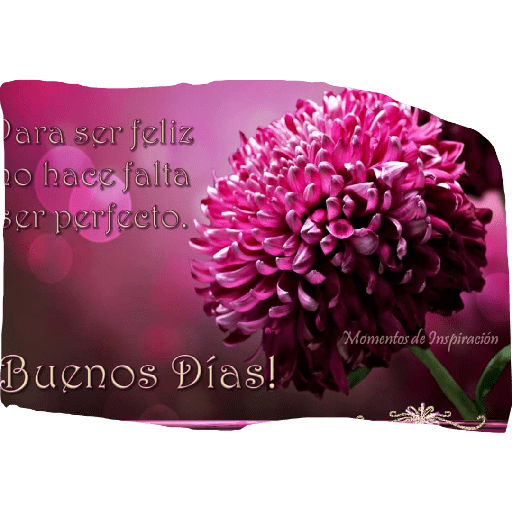 Buenos dias  3