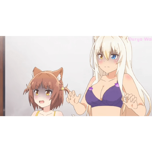 Nekopara muy XD 4 15