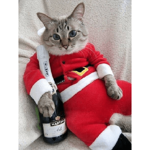 NATAL engraçado 🎅🏻😜 18