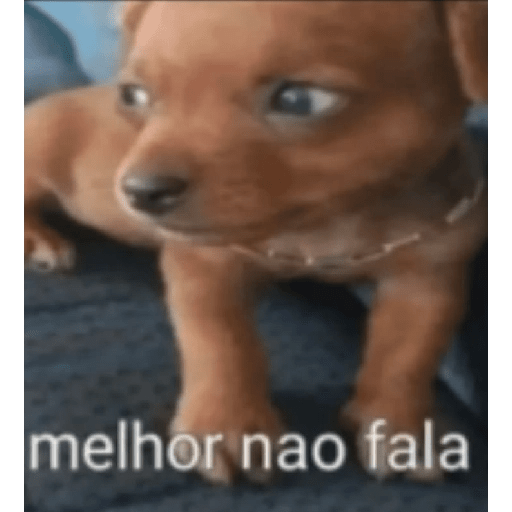 Oi posso falar  1