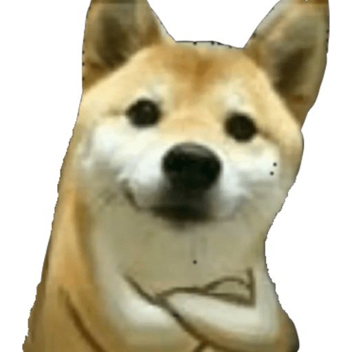 Perritos 1 29