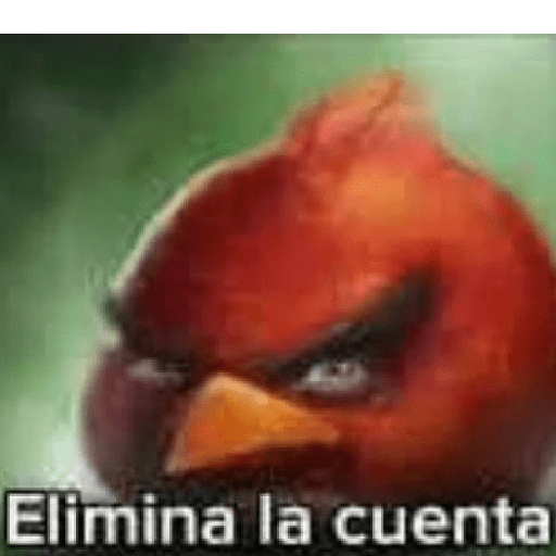Humor roto 7.0 4