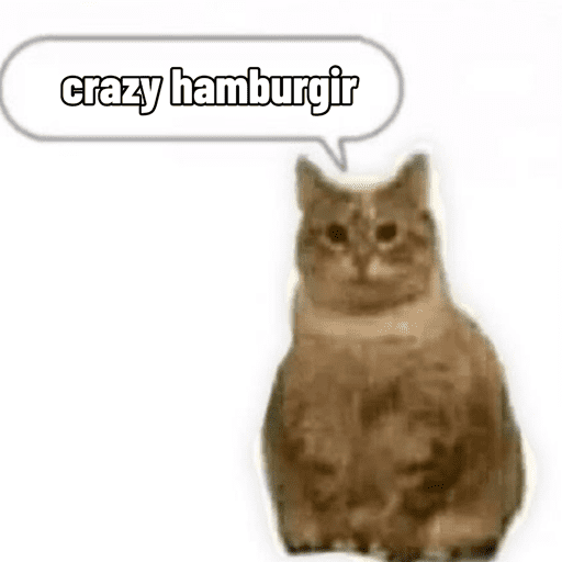 Silly cat memes 16