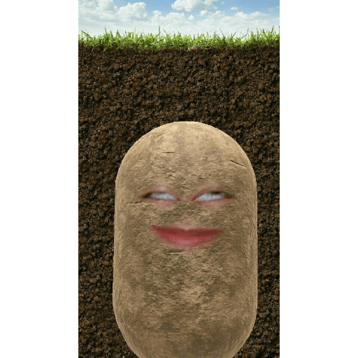 Potato 2