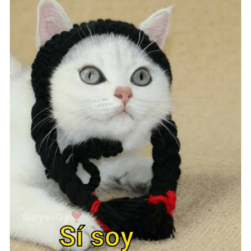 Memes Wednesday Merlina❣️ 10