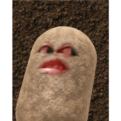 Potato 7