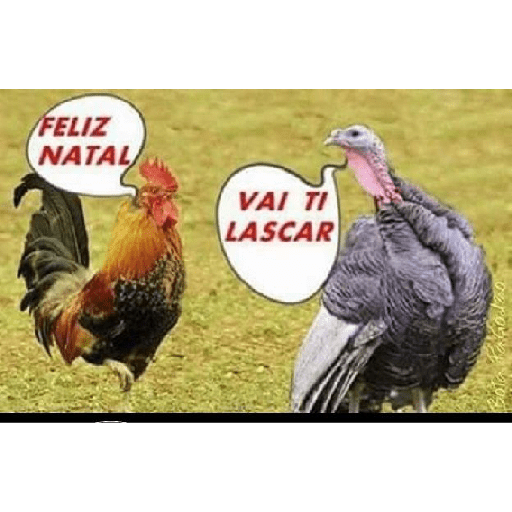 NATAL engraçado 🎅🏻😜 12