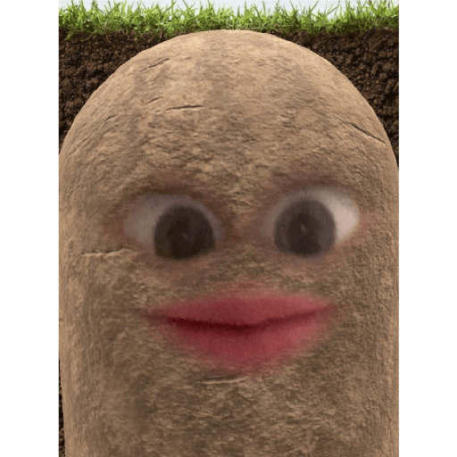 Potato 10