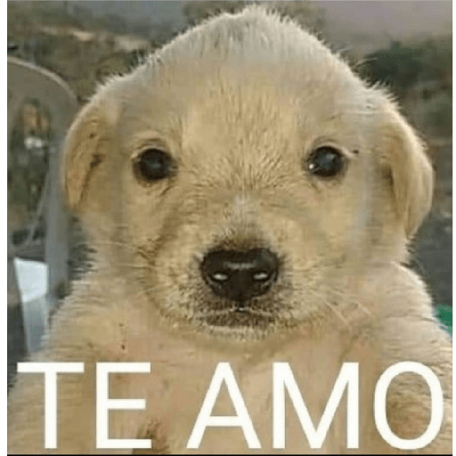 Mucholoveee 24