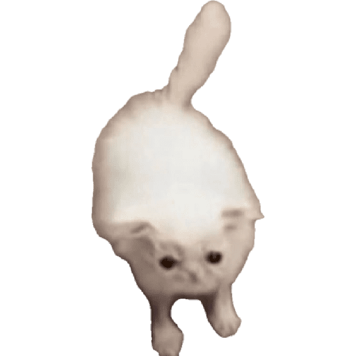 Random 1 7