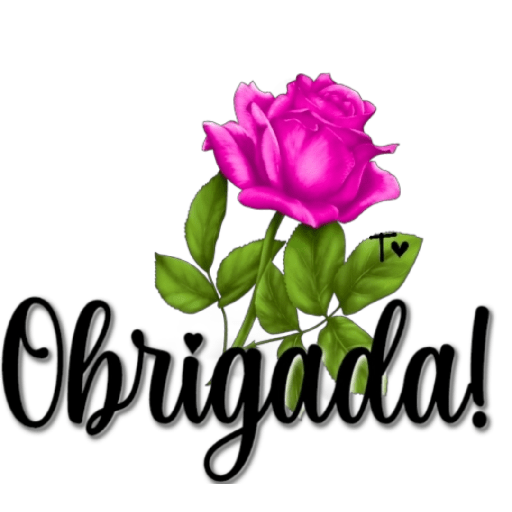 Amém 🙏 27