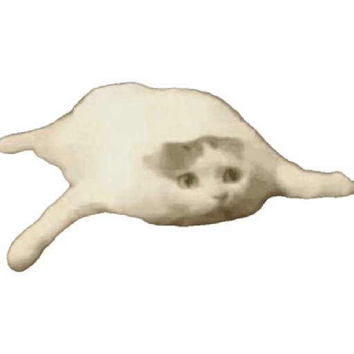 Random 1 8