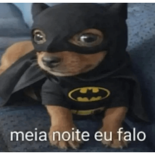 Oi posso falar  6