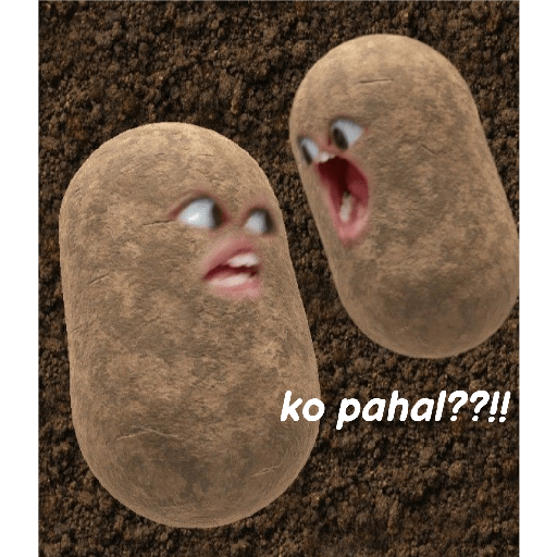 Potato 1