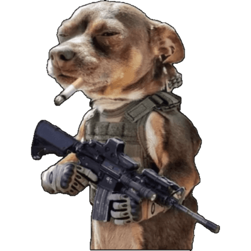 Perritos 1 24