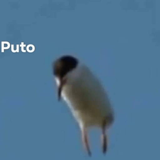 Mequieromorirayuda 4