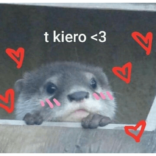 Mucholoveee 28
